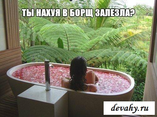 Юморная эротика поможет хорошему настроению